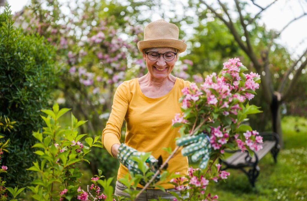 An older adult smiling in their garden while trimming a bush of pink flowers with adaptive shears.